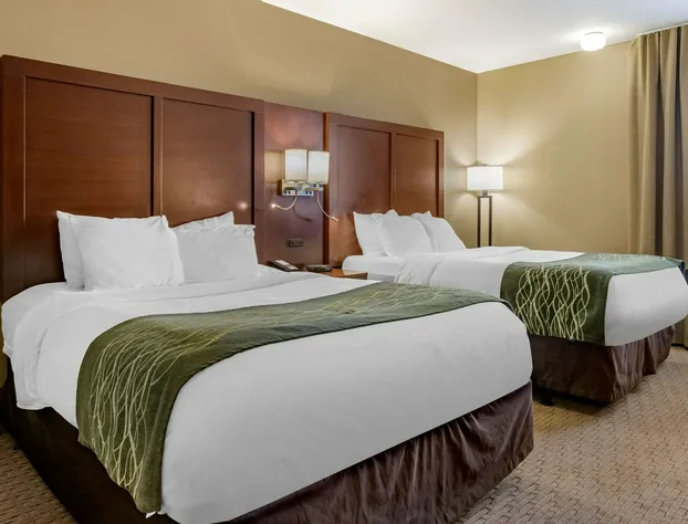 Comfort Inn Detroit/Warren Sterling Heights hotel detail image 4