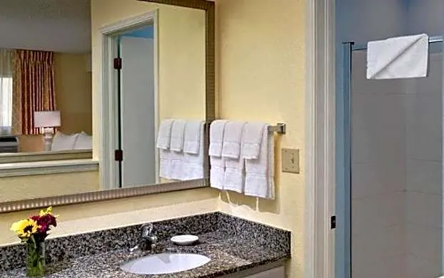 Sonesta ES Suites Ann Arbor hotel detail image 2