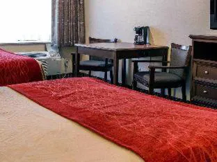 Wingate by Wyndham Livonia hotel detail image 4