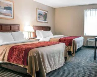 Wingate by Wyndham Livonia hotel detail image 3