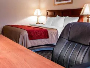 Wingate by Wyndham Livonia hotel detail image 2