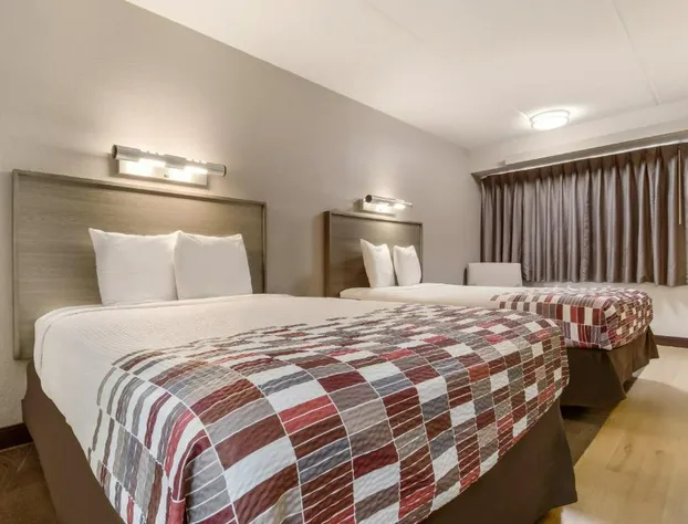 Red Roof Inn Detroit - Farmington Hills hotel detail image 2