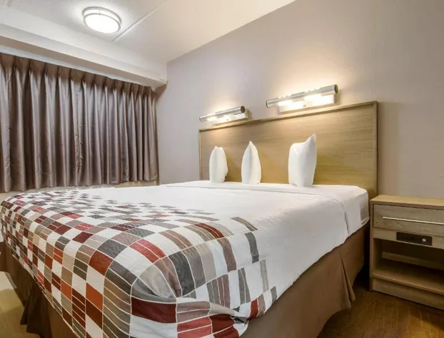 Red Roof Inn Detroit - Farmington Hills hotel detail image 3