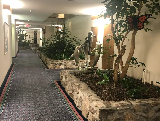 Monarch Resort hotel detail image 1