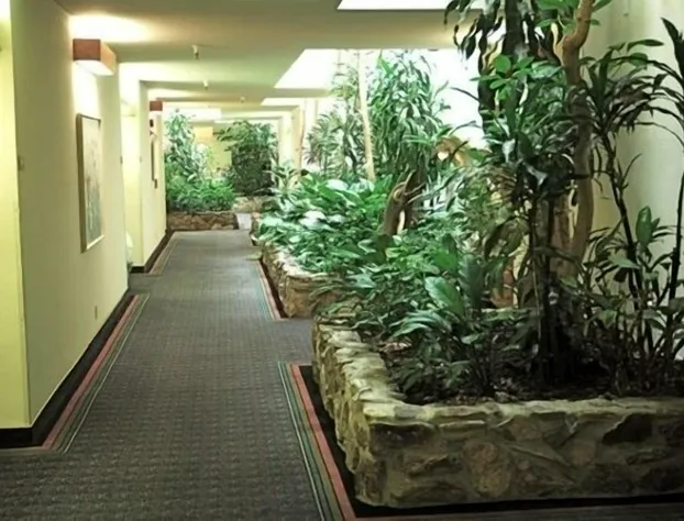 Monarch Resort hotel detail image 4