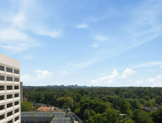 Hilton Garden Inn Bethesda Downtown hotel detail image 4
