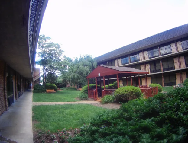 Quality Inn Vienna - Tysons Corner hotel detail image 3