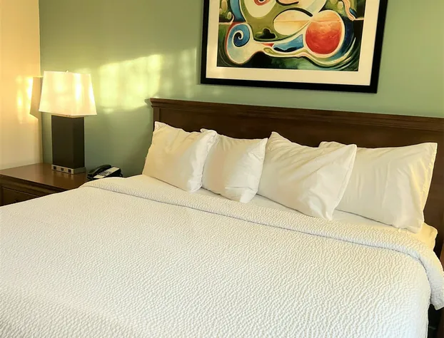 Residence Inn Herndon Reston hotel detail image 3