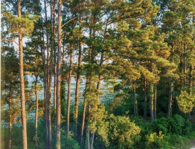 Fairfield Inn By Marriott Savannah Airport hotel detail image 2