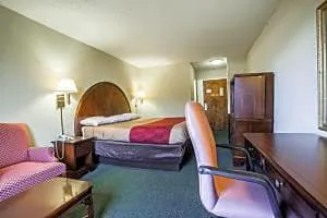 Quality Inn Airport-Near Uptown hotel detail image 4