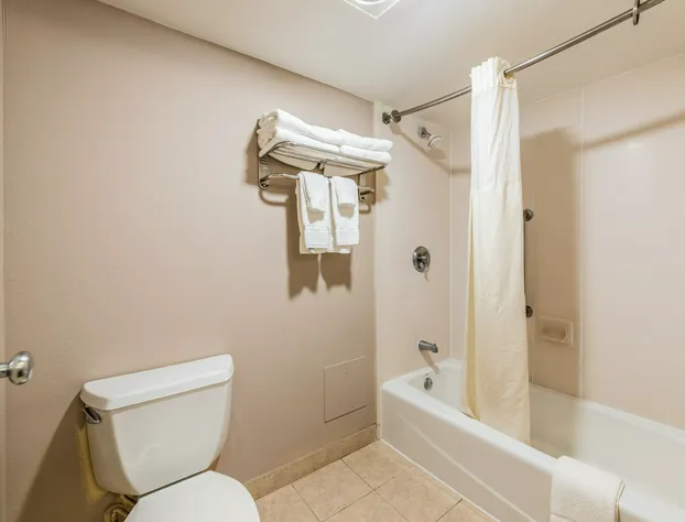 Lake Norman Inn and Suites hotel detail image 4