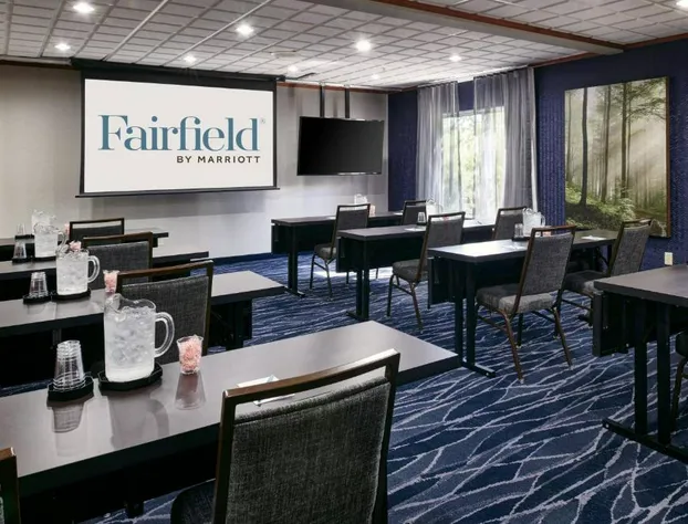 Fairfield Inn & Suites by Marriott Detroit Livonia hotel detail image 2