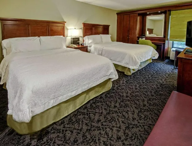 Hampton Inn by Hilton Charlotte/Matthews hotel detail image 2