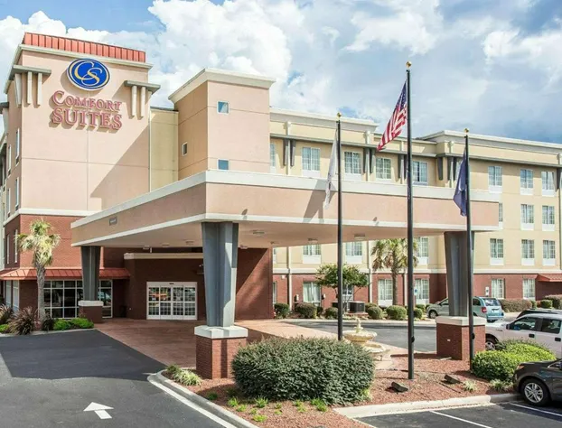 Comfort Suites Rock Hill Manchester Meadows Area hotel detail image 1