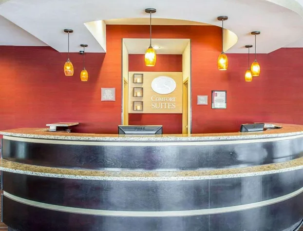 Comfort Suites Rock Hill Manchester Meadows Area hotel detail image 2