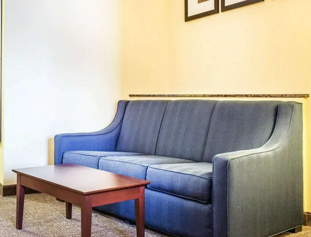 Comfort Suites Rock Hill Manchester Meadows Area hotel detail image 4