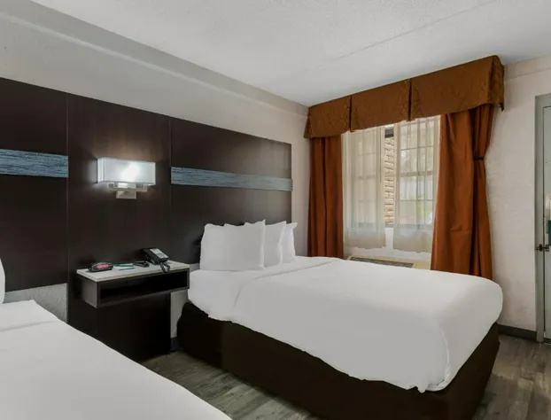 Quality Inn Charlotte Airport hotel detail image 4