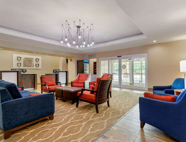 Comfort Inn & Suites Near Six Flags & Medical Center hotel detail image 3