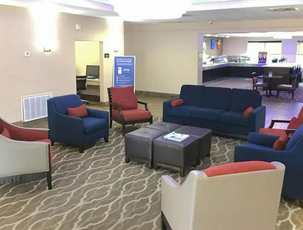 Comfort Inn & Suites Near Six Flags & Medical Center hotel detail image 4