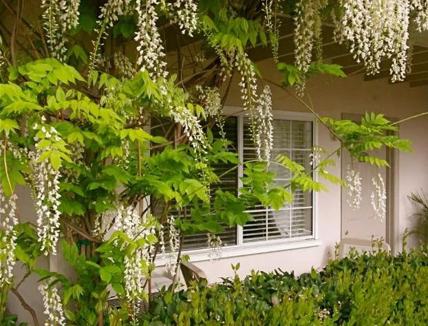 The Tides Laguna Beach hotel detail image 3