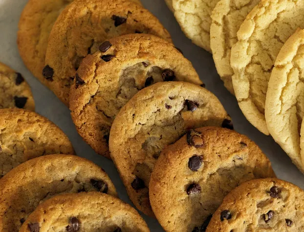 Garner Hotel Salt Lake City Airport by IHG hotel detail image 3