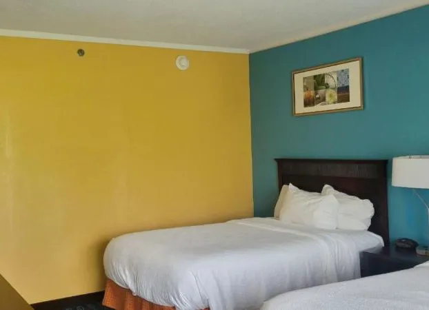 Chester Inn & Suites hotel detail image 4