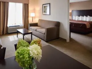 Best Western Suites hotel detail image 4