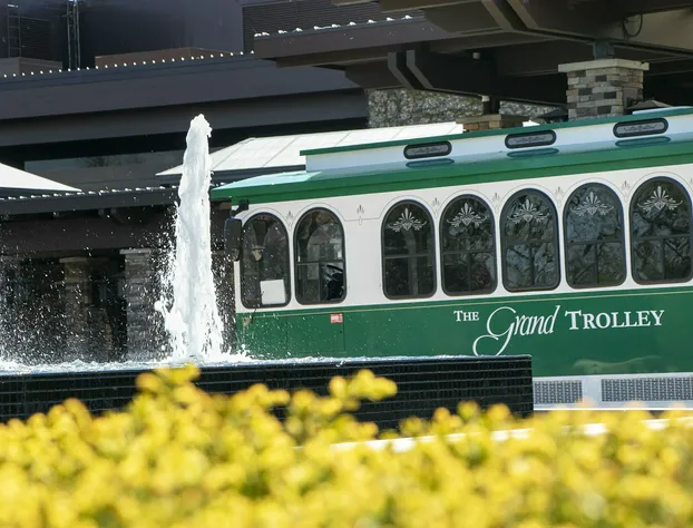 Grand Geneva Resort & Spa hotel detail image 2