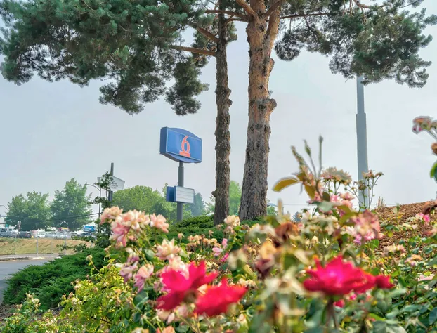 Studio 6 Suites Albany, OR hotel detail image 3