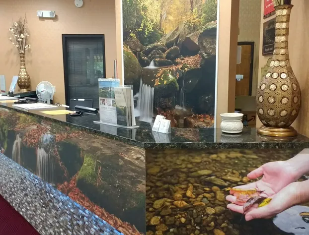 Ramada by Wyndham Asheville Southeast hotel detail image 2