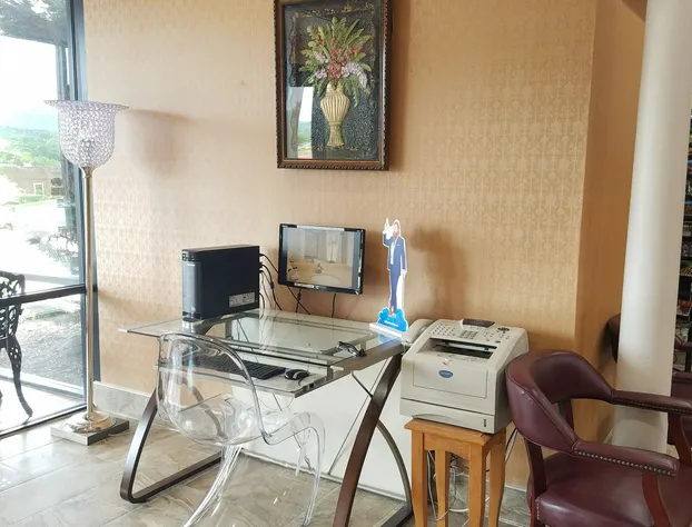 Ramada by Wyndham Asheville Southeast hotel detail image 3