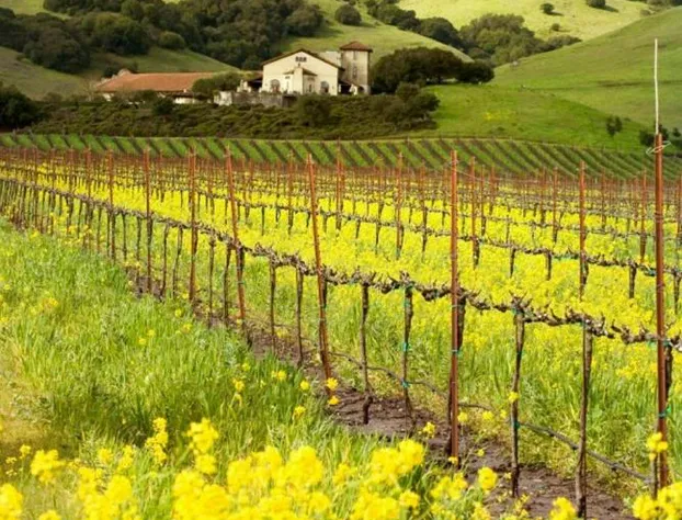 Best Western Garden Inn hotel detail image 3