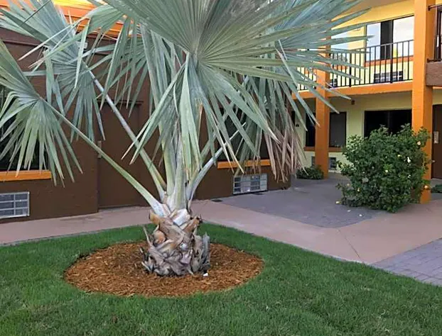 Days Inn by Wyndham N Orlando/Casselberry hotel detail image 3