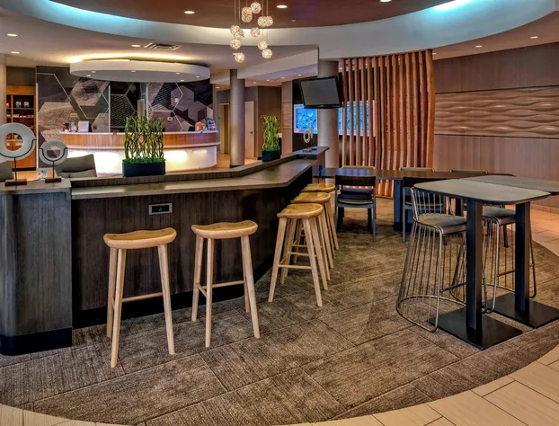 Springhill Suites by Marriott Moore hotel detail image 4