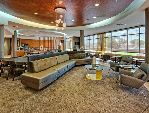 Springhill Suites by Marriott Moore hotel detail image 3