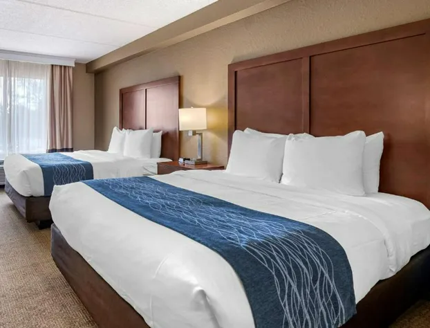 Comfort Inn & Suites Orlando North hotel detail image 4