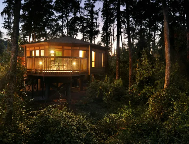 Disney's Saratoga Springs Resort & Spa hotel detail image 1