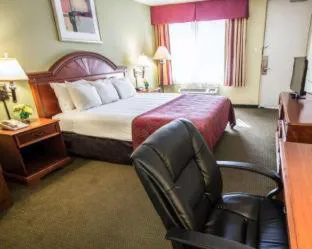 Stayable Orlando hotel detail image 3