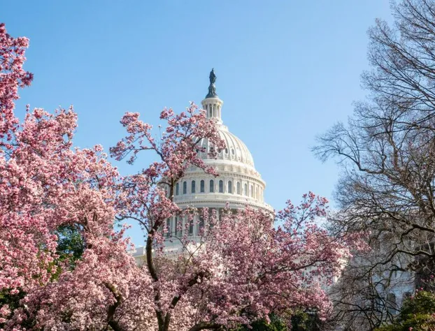 Grand Hyatt Washington hotel detail image 3