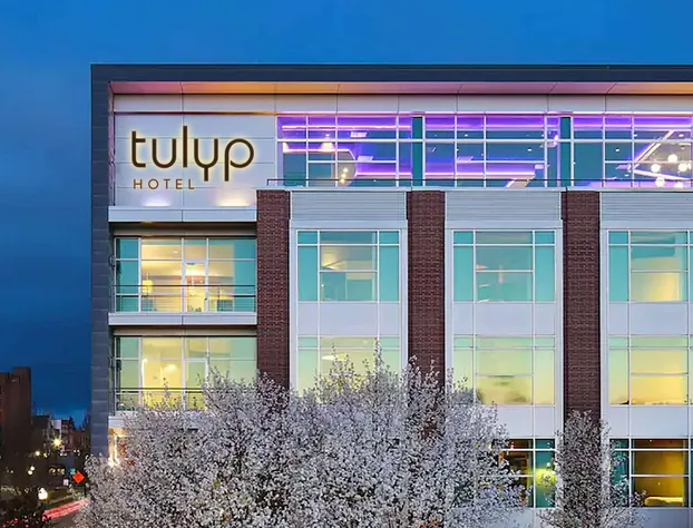 Tulyp, Tapestry Collection by Hilton hotel detail image 1