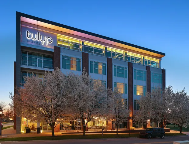 Tulyp, Tapestry Collection by Hilton hotel detail image 2