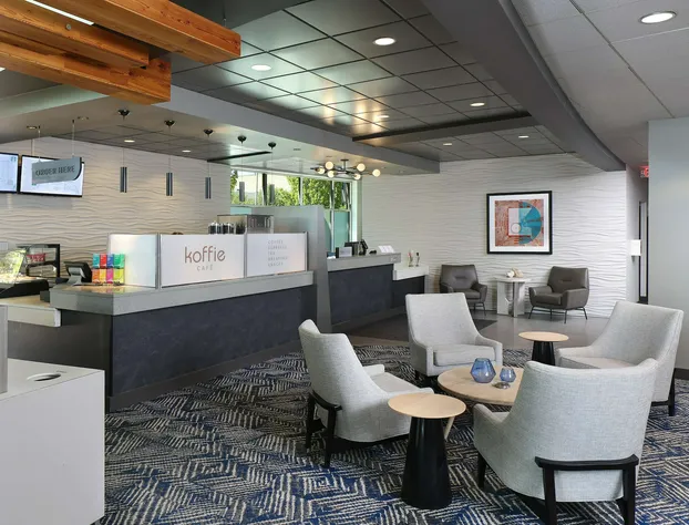 Tulyp, Tapestry Collection by Hilton hotel detail image 3
