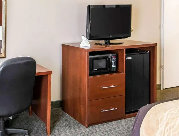 Comfort Inn Pentagon City hotel detail image 2