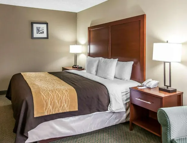 Comfort Inn Pentagon City hotel detail image 4