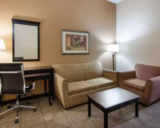 Comfort Suites Shreveport West I-20 hotel detail image 4