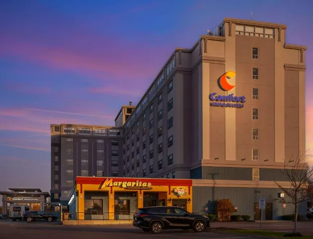 Comfort Inn & Suites Logan International Airport hotel detail image 1