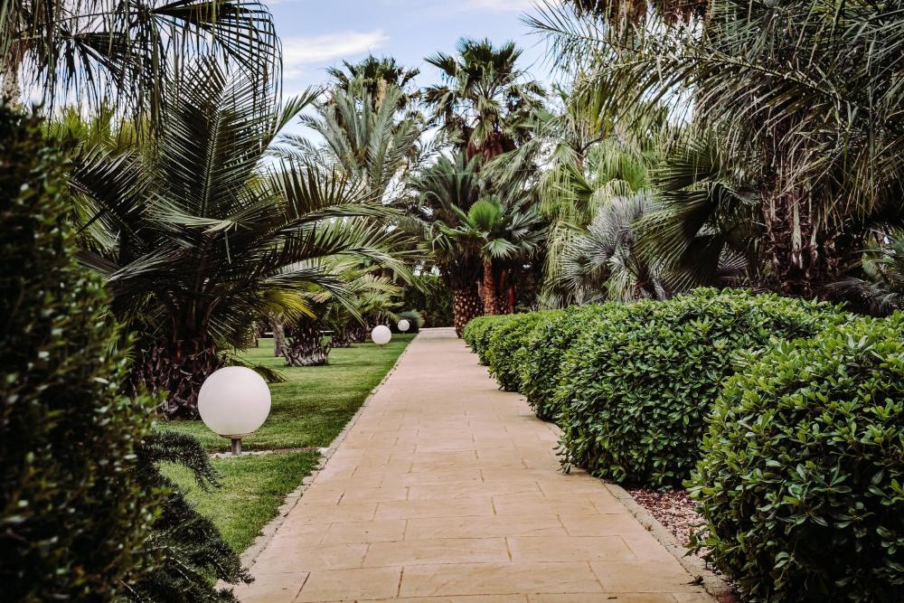 Plaza San Antonio Hotel & Spa, Autograph Collection hotel hero
