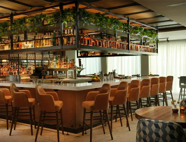 Plaza San Antonio Hotel & Spa, Autograph Collection hotel detail image 4