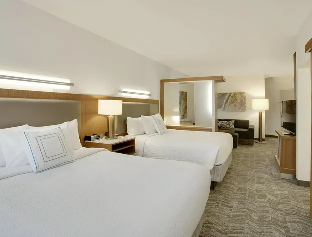 Springhill Suites Marriott Airport hotel detail image 4