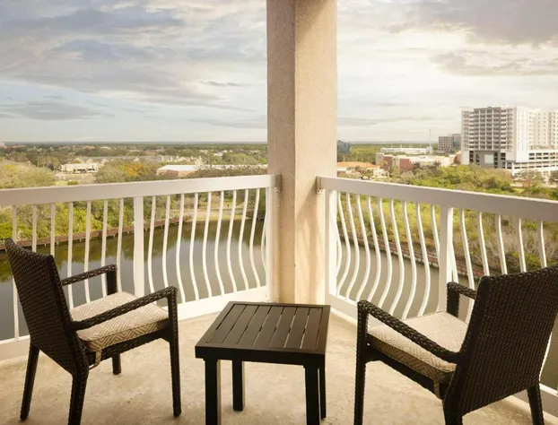 Hilton St. Petersburg Carillon Park hotel detail image 3